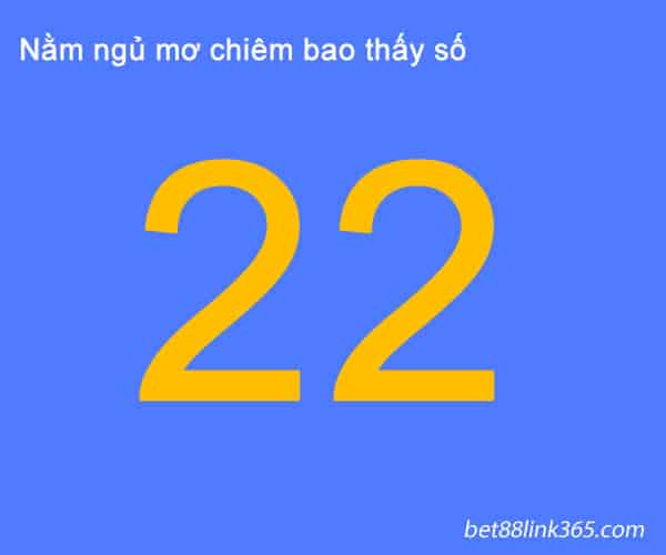 nam mo thay so 22 danh con gi- giai ma moi giac mo