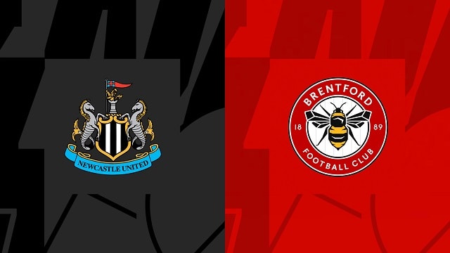 Soi kèo nhà cái V9 trận Newcastle vs Brentford, 08/10/2022 – Premier League