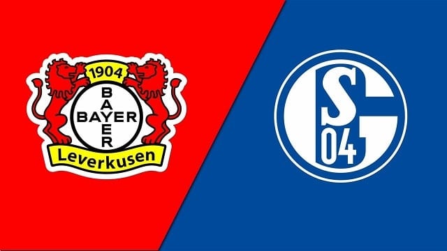 soi keo nha cai v9 tran leverkusen vs schalke, 08/10/2022 – giai vdqg duc